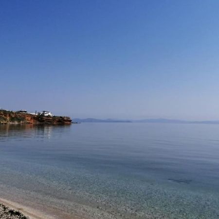 Summer House With A Pool Near Sea, Port & Airport Apartment Rafína Exterior foto