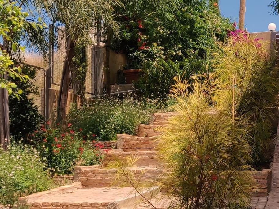 Summer House With A Pool Near Sea, Port & Airport Apartment Rafína Exterior foto